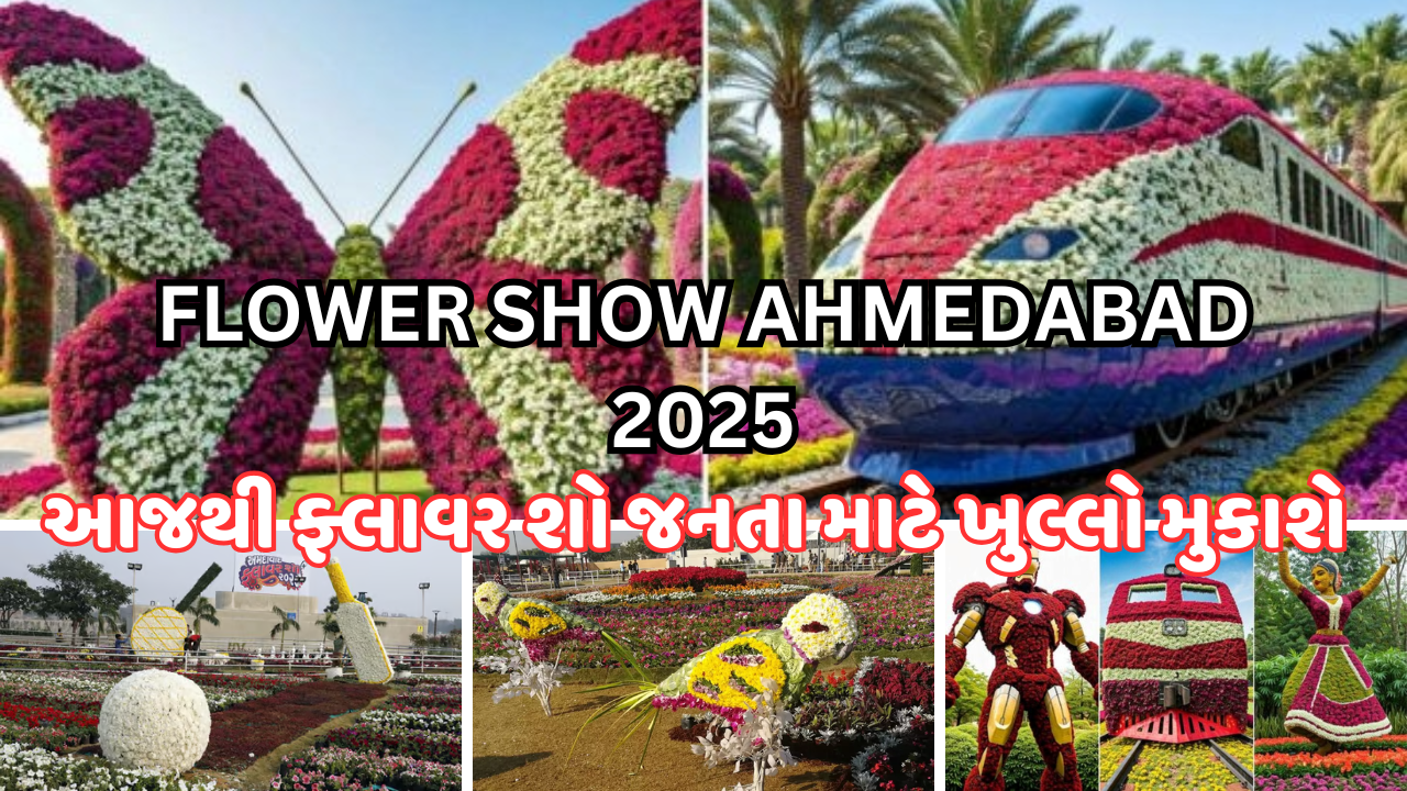 અમદાવાદ: આજથી ફ્લાવર શો જનતા માટે ખુલ્લો મુકાશે, જાણો ફલાવર શો 2025માં શુ છે ખાસ….