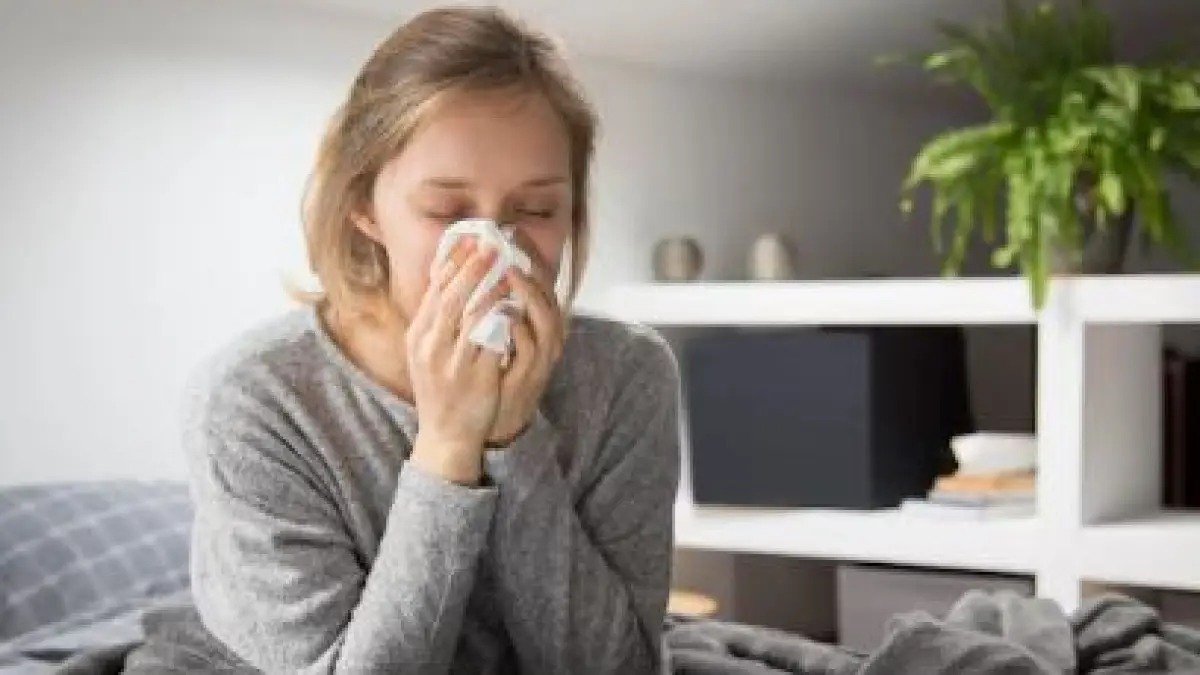 છીંક આવવાના ઘરેલું ઉપાય: જો તમને બદલાતા હવામાનમાં વારંવાર છીંક આવે છે, તો આ ઘરેલું ઉપાયો તમારી સમસ્યાનો ઉકેલ લાવશે