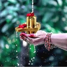 મહાશિવરાત્રી 2025: મહાશિવરાત્રીના દિવસે શિવલિંગ પર આ 5 વસ્તુઓ ચોક્કસ અર્પણ કરો, દરેક મનોકામના પૂર્ણ થશે