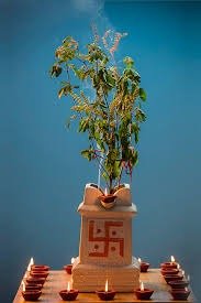 તુલસી પૂજા નિયમ: ઘરમાં તુલસી રાખવાથી મા લક્ષ્મીના આશીર્વાદ વરસશે, જાણો છોડ ક્યારે અને ક્યાં લગાવવો?