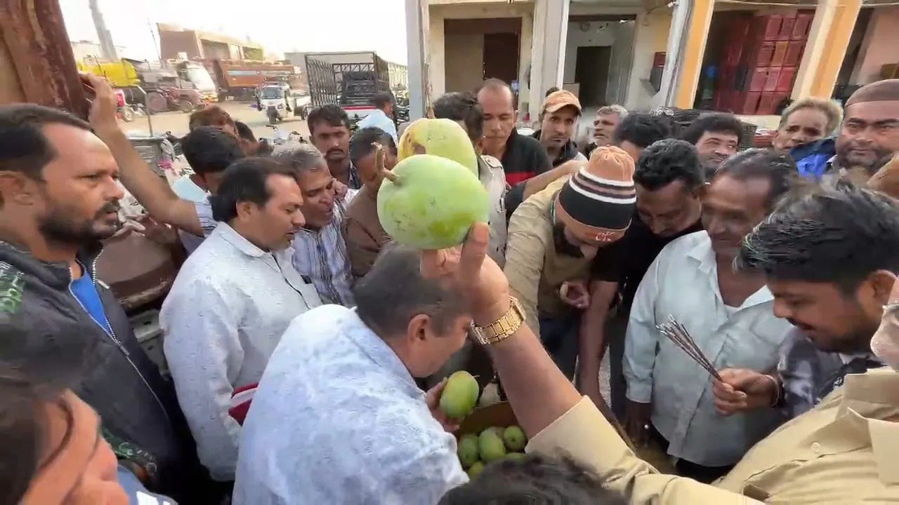 ગોંડલ યાર્ડમાં કેસર કેરીનું આગમન, જાણો હરાજીમાં કેટલો ભાવ બોલાયો ?