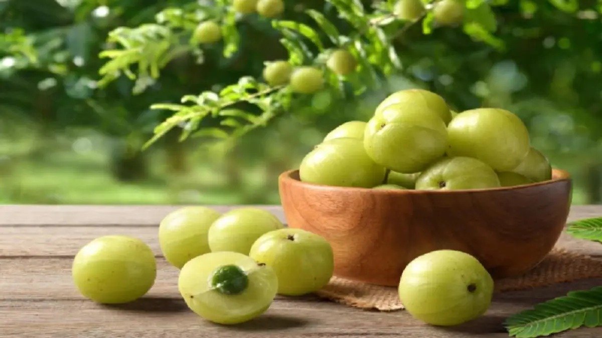 આમળાના ફાયદા: આમળા તમારી ત્વચા અને વાળને ચમકદાર બનાવશે, તમારી રોગપ્રતિકારક શક્તિ વધારશે
