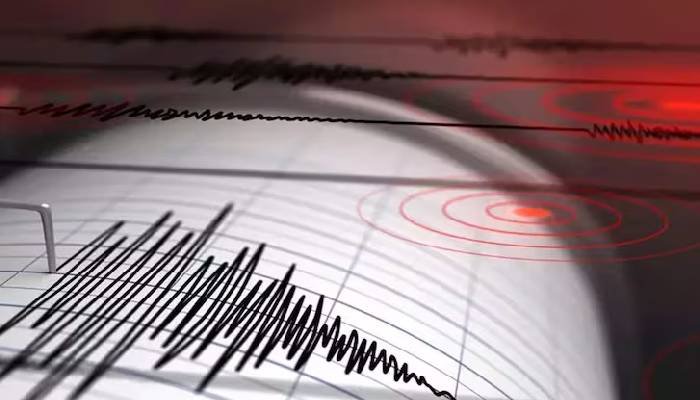પાકિસ્તાનના સ્વાત પ્રદેશમાં 4.4 તીવ્રતાનો ભૂકંપ, જાનમાલનું કોઈ નુકસાન નહીં