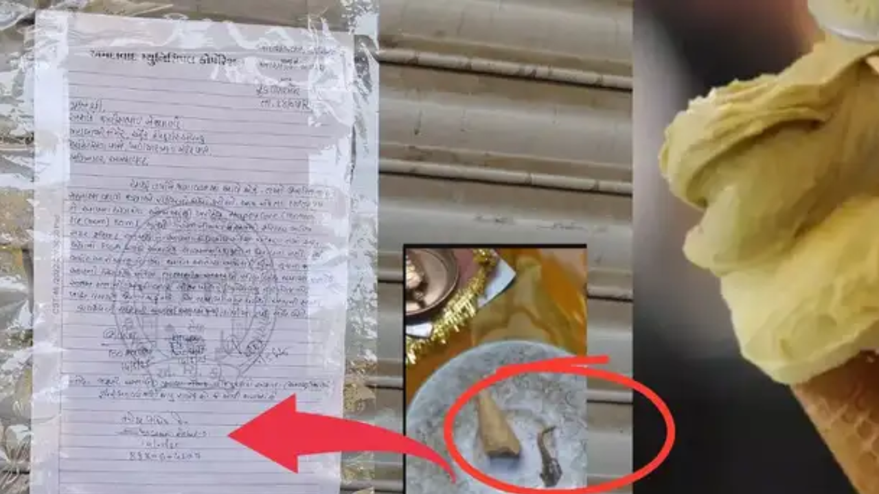 AHMEDABAD: આઈસ્ક્રીમ કોનમાંથી નીકળી જીવલેણ ગરોળીની પૂંછડી, મહિલાની તબિયત લથડી..જાણો સમગ્ર ઘટના