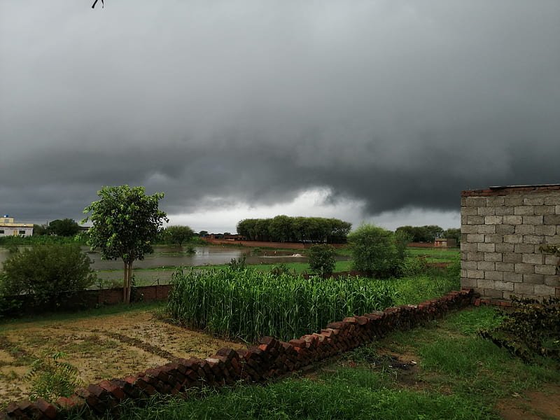 ગુજરાત: કમોસમી વરસાદથી ગરમીમાં રાહત, આગામી 5 દિવસમાં વધુ વરસાદની આગાહી