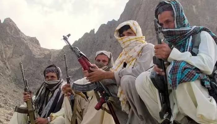 પાકિસ્તાનને મોટો ફટકો, બલુચ નેતાએ કરી આઝાદીની જાહેરાત… જાણો શું છે મામલો