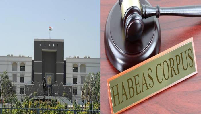 “જાતિ-ધર્મ છોડો, માનવ હક્ક જુવો – હાઈકોર્ટનો માનવીય સંદેશ!”