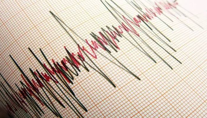 પાકિસ્તાનમાં 4.7 તીવ્રતાનો ભૂકંપ, લોકોમાં દહેશત; કેટલીક ઇમારતોને નુકસાન
