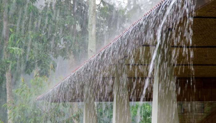 દક્ષિણ ગુજરાતમાં આગામી 48 કલાક ભારે વરસાદની આગાહી, જાણો વિગત