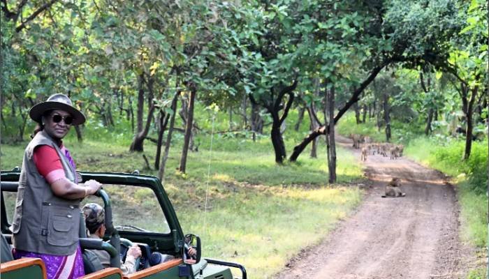 જૂનાગઢ: રાષ્ટ્રપતિ દ્રૌપદી મુર્મૂની સફારી મુલાકાત, સાવજ દર્શન અને આદિવાસી મહિલાઓ સાથે સંવાદ