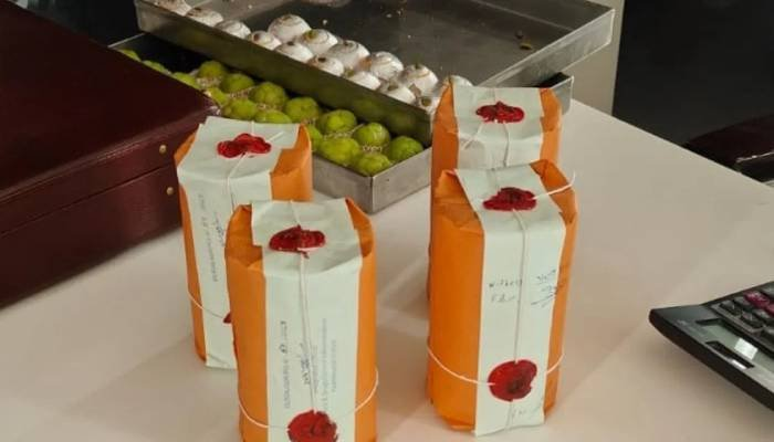 ફૂડ એન્ડ ડ્રગ્સ વિભાગ દ્વારા દિવાળી પૂર્વે રાજ્યવ્યાપી દરોડા, ₹41 લાખના ભેળસેળયુક્ત ખાદ્ય પદાર્થોનો કરાયો નાશ