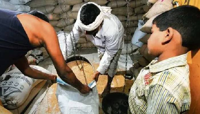 દિવાળીમાં અન્નથી ઘર ઘર થશે ઉજાસ: 75 લાખથી વધુ રેશનકાર્ડ ધારકોને અનાજ, શ્રીઅન્ન, ખાંડ અને ખાદ્યતેલનું વિતરણ શરૂ