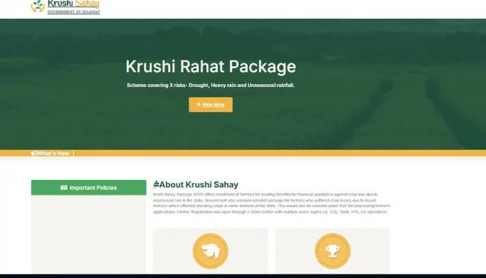 કૃષિ રાહત પેકેજ: ખેડૂતોએ વેબસાઇટ પર ફોર્મ ન ભરાતા મૂંઝવણનો સામનો કર્યો
