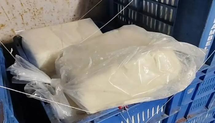 સુરત મનપાના રિપોર્ટમાં સુરભી ડેરીનું પનીર સબ-સ્ટાન્ડર્ડ જાહેર, જાણો ચોંકાવનારો ખુલાસો