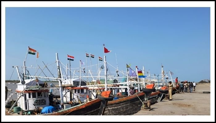 ગુજરાતના મત્સ્યઉદ્યોગમાં સૌરાષ્ટ્ર–કચ્છનો 80% સુધીનો ફાળો, જાણો શું કહે છે આ આંકડા