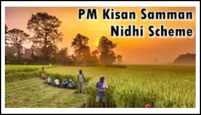 પ્રધાનમંત્રી કિસાન સન્માન નિધિ યોજનાના 22મા હપ્તાનો લાભ મેળવવા ખેડૂત આઇડી-ફાર્મર રજીસ્ટ્રીની નોંધણી ફરજિયાત