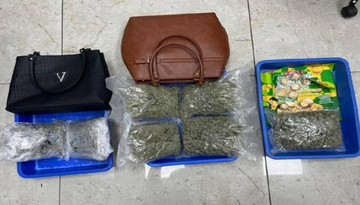 સુરત એરપોર્ટ પર બેંગકોકથી આવેલા મુસાફર પાસેથી કરોડનો હાઈડ્રોપોનિક ગાંજો ઝડપાયો