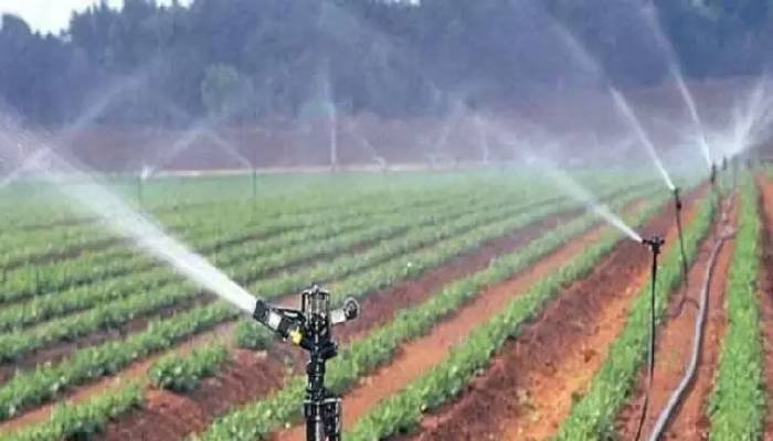 ગુજરાતમાં સૂક્ષ્મ સિંચાઈનો સર્જાયો રેકોર્ડ, 20 વર્ષમાં 25 લાખ હેક્ટર વિસ્તારમાં અમલ