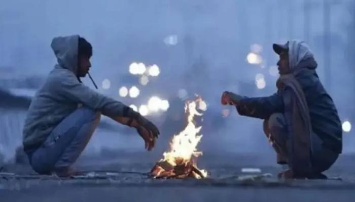 ગુજરાતમાં ઠંડીનો ચમકારો ચાલુ, કચ્છના નલિયામાં 10 ડિગ્રી નોંધાયું