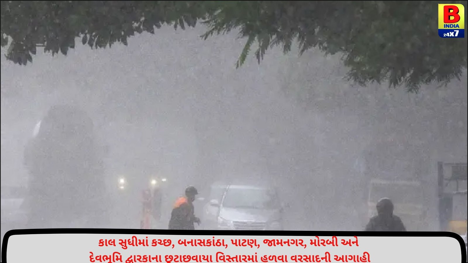 હવામાન વિભાગની કમોસમી વરસાદની આગાહીને લઈ કૃષિ વિભાગે પાક રક્ષણ માટે જાહેર કરી માર્ગદર્શિકા, જાણો વિગત