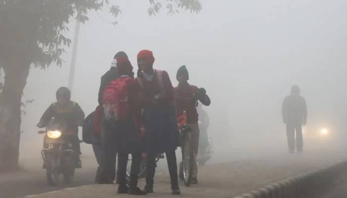 ગુજરાતમાં કડકડતી ઠંડીનો ચમકારો યથાવત, કેશોદ સૌથી ઠંડુ શહેર બન્યું