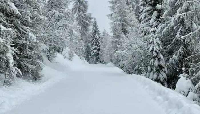 ઉત્તર-પશ્ચિમ ભારતમાં હવામાનની તીવ્ર ચેતવણી: હિમપ્રપાત, વરસાદ અને કરા સાથે તાપમાનમાં ભારે ઘટાડો