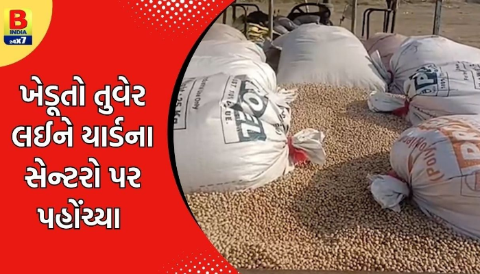 અમરેલીમાં તુવેરની ખરીદીનો ટેકાના ભાવે શુભારંભ | #bindia