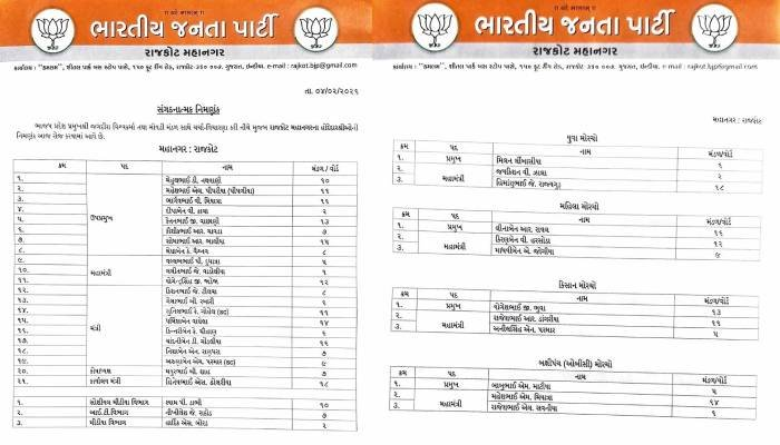 રાજકોટમાં ભાજપનું નવું માળખું જાહેર, ડો. માધવ દવેને શહેર પ્રમુખ બનાવાયા