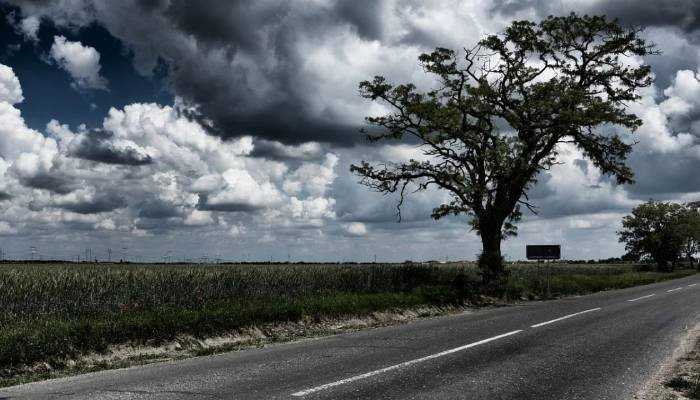 ગુજરાતમાં વહેલી સવારે ઠંડીનો અહેસાસ, છતાં ઉત્તર-પૂર્વના ગરમ પવનોનો પ્રભાવ