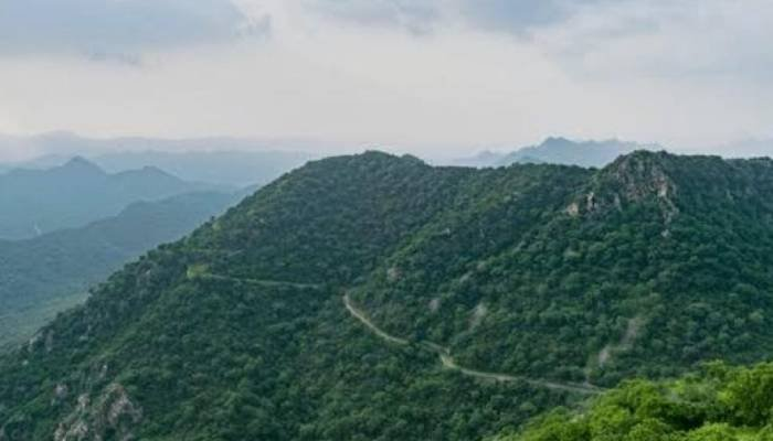 સુપ્રીમ કોર્ટે અરવલ્લી ગિરીમાળાના સંરક્ષણ માટે મહત્વપૂર્ણ નિર્ણયો કર્યા, જાણો વિગત