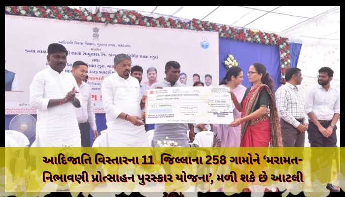 આદિજાતિ વિસ્તારના 11  જિલ્લાના 258 ગામોને ‘મરામત-નિભાવણી પ્રોત્સાહન પુરસ્કાર યોજના’, મળી શકે છે આટલી રકમ