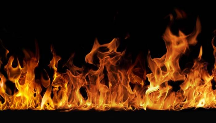 અમરેલી નજીક મીતીયાળા અભયારણ્ય પાસે ભીષણ આગ, વન્યજીવો જોખમમાં