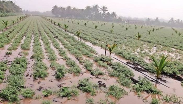 ગુજરાત : 7 એપ્રિલે સૌરાષ્ટ્ર અને ઉત્તર ગુજરાતમાં કમોસમી વરસાદની આગાહી