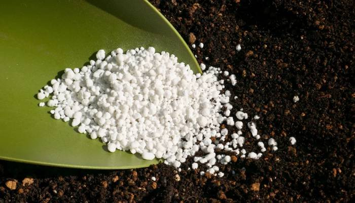 ખરીફ વાવેતર પહેલાં ખાતરના ભાવ આસમાને, યુરિયાના ભાવ $1,000ની નજીક