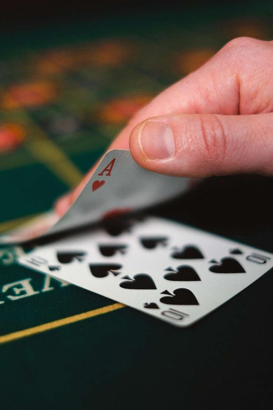 Rhino casino
