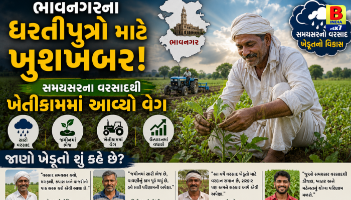 ભાવનગરના ધરતીપુત્રો માટે ખુશખબર! સમયસરના વરસાદથી ખેતીકામમાં આવ્યો વેગ, જાણો ખેડૂતો શું કહે છે?