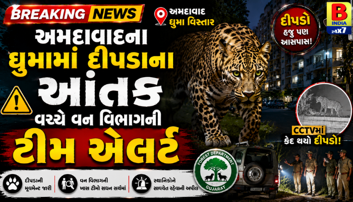 અમદાવાદના ઘુમામાં દીપડાના આંતક વચ્ચે વન વિભાગની ટીમ એલર્ટ 2026 Terror