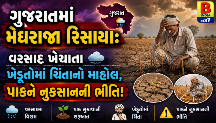 “ગુજરાતમાં મેઘરાજા રિસાયા: વરસાદ ખેંચાતા ખેડૂતોમાં ચિંતાનો માહોલ, પાકને નુકસાનની ભીતિ!”