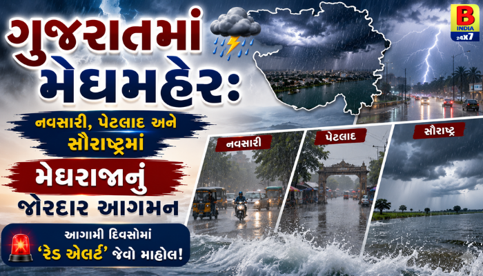 મેઘરાજાનો ફરી ધમાકેદાર રાઉન્ડ! રાજ્યમાં ક્યાં ભારે વરસાદ પડશે? જાણો લેટેસ્ટ અપડેટ