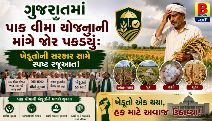 શું ખેડૂતોને મળશે સમયસર વળતર? પાક વીમા યોજનાને લઈને ખેડૂતોમાં ઉઠી નવી આશા