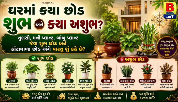 વાસ્તુશાસ્ત્ર મુજબ ઘરમાં કયા છોડ રાખવા શુભ અને કયા અશુભ? જાણો સંપૂર્ણ માહિતી