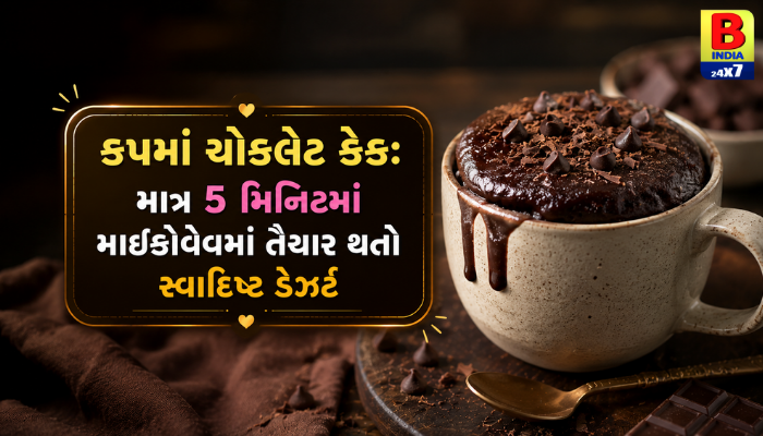 કેક લવર્સ માટે બેસ્ટ ટિપ: માઇક્રોવેવમાં ૫ મિનિટમાં તૈયાર મજેદાર ચોકલેટ કેક!