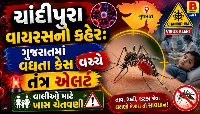 સાવધાન! ગુજરાતમાં ચાંદીપુરા વાયરસનો ખતરો, પંચમહાલ જિલ્લામાં 23 શંકાસ્પદ કેસ