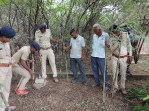 અમદાવાદ