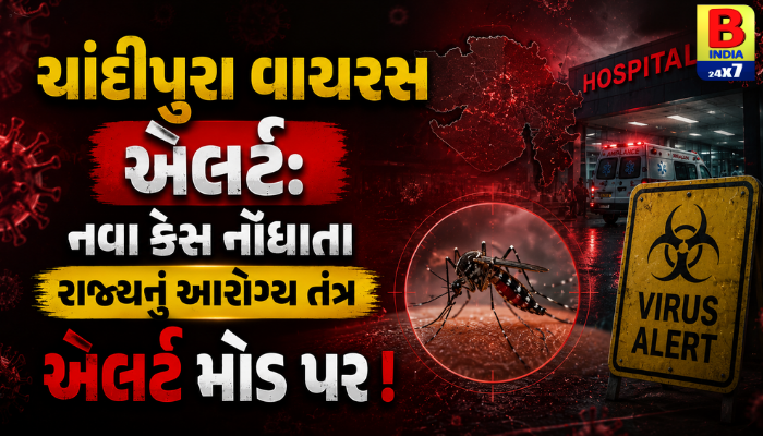 “ચાંદીપુરા વાયરસ એલર્ટ: નવા કેસ નોંધાતા રાજ્યનું આરોગ્ય તંત્ર એલર્ટ મોડ પર!”