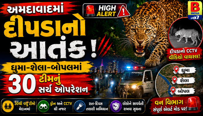 અમદાવાદમાં દીપડાનો આતંક: High Alert ઘુમા-શેલા-બોપલમાં 30 ટીમનું સર્ચ ઓપરેશન Panic