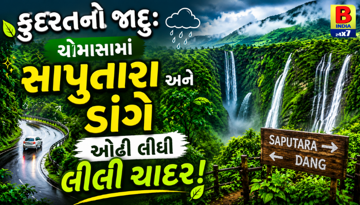 “કુદરતનો જાદુ: ચોમાસામાં સાપુતારા અને ડાંગે ઓઢી લીધી લીલી ચાદર!”