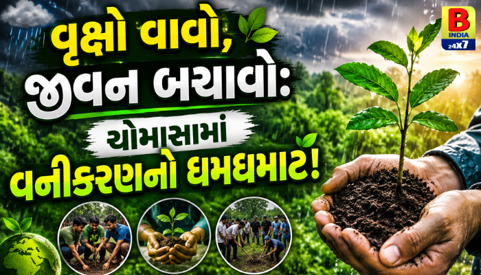 “વૃક્ષો વાવો, જીવન બચાવો: ચોમાસામાં વનીકરણનો ધમધમાટ!”