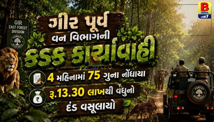 GIR વન વિભાગની લાલ આંખ! અસામાજિક તત્વો સામે કડક કાર્યવાહી…