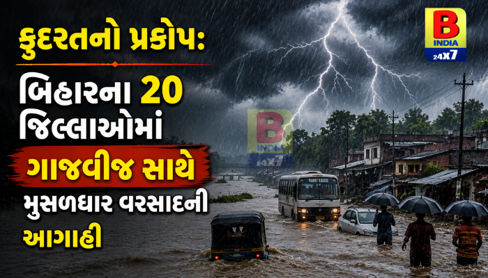 Biharના 20 જિલ્લાઓમાં ભારે વરસાદનું એલર્ટ, અનેક વિસ્તારોમાં ગાજવીજ સાથે વરસાદની આગાહી